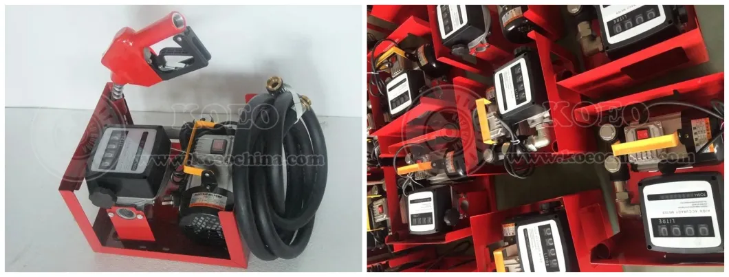 Popular Good Quality AC220V Diesel Fuel Pump Kit
